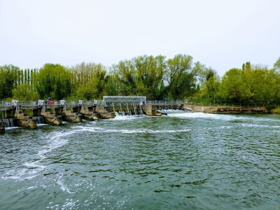 Caversham weir before the hydro scheme was built